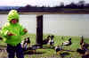 feedingduckies.jpg (741106 bytes)